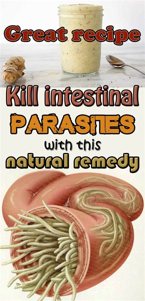 Home Remedies: Natural Ways to Eliminate Intestinal Parasites