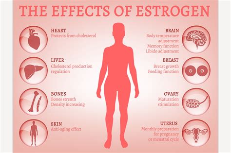 Hormonal Changes and Their Impact on Dream Content