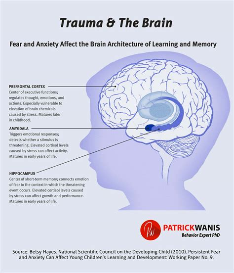 How Emotions Impact Dreams of a Youngster Experiencing Head Trauma?