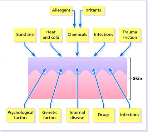 How External Factors Impact Dreams of Skin Eruptions