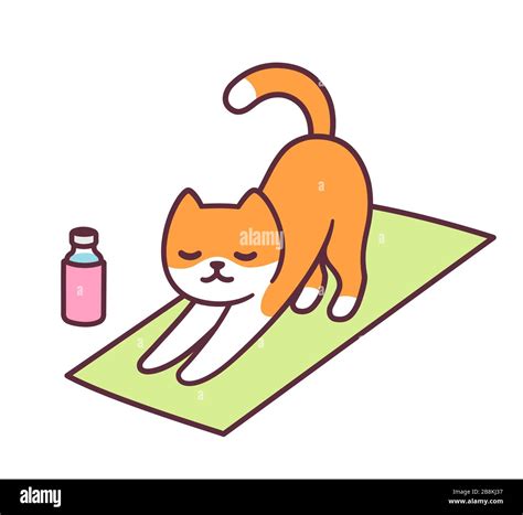 How Ginger Kitty Stays Fit and Healthy