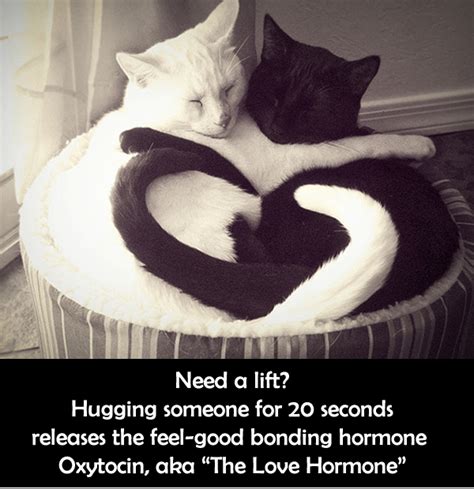 How Hugging Releases Oxytocin, the "Love Hormone"