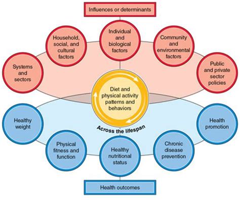 How Lifestyle Choices Can Impact the Onset of Severe Dorsal Ache in Reveries