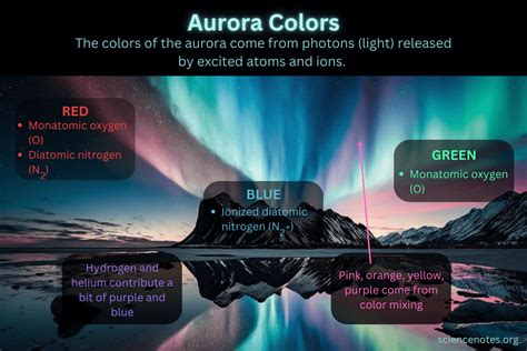 How Tall is Aurora Sky?