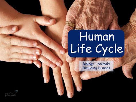 Human Life Account