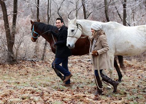 Immersing Yourself in Winter Equine Traditions