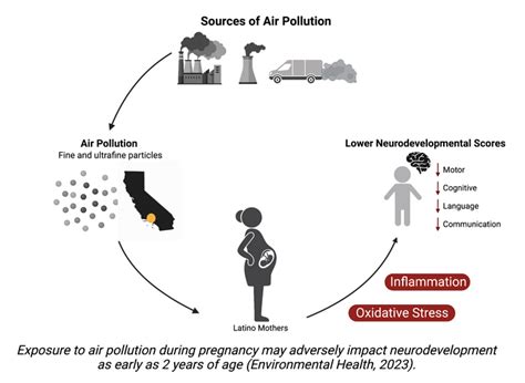 Impact and Influence of Infant Dark