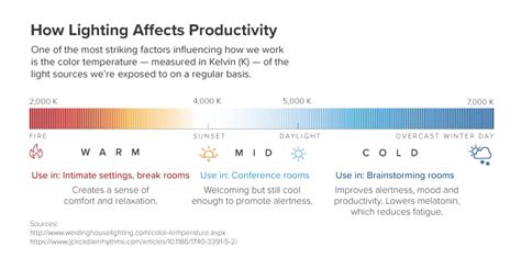 Impact of Light on Productivity and Performance