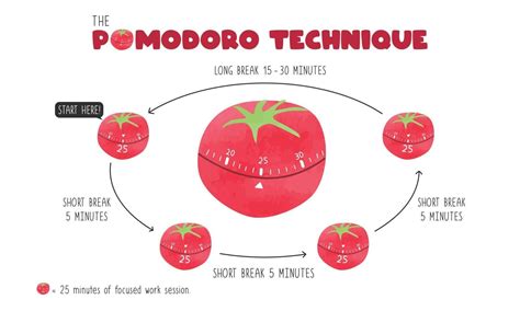 Impact of Miss Pomodoro in the Digital Sphere