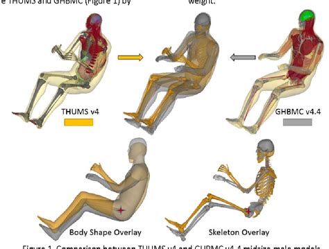 Impact of Stature on Modeling