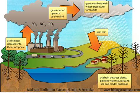 Impacts and Consequences of Stone Precipitation