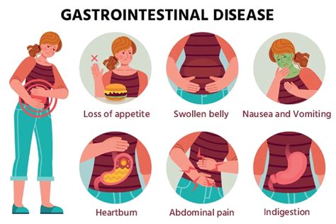 Important Dietary Guidelines for Minimizing the Risk of Gastrointestinal Disorders