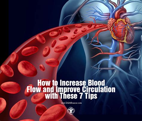 Increase Blood Circulation