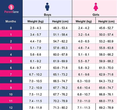 India Baby's Figure: Measurements and Proportions