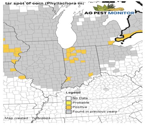 Indications to Observe in a Potential Infestation