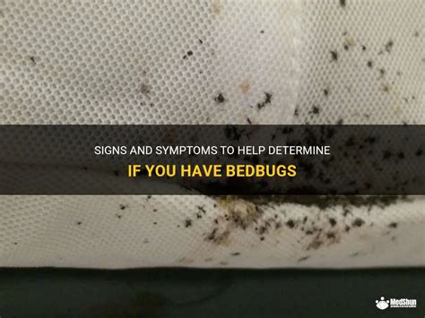 Indicators of Infestation: Determining if Bedbugs have Invaded Your Residence