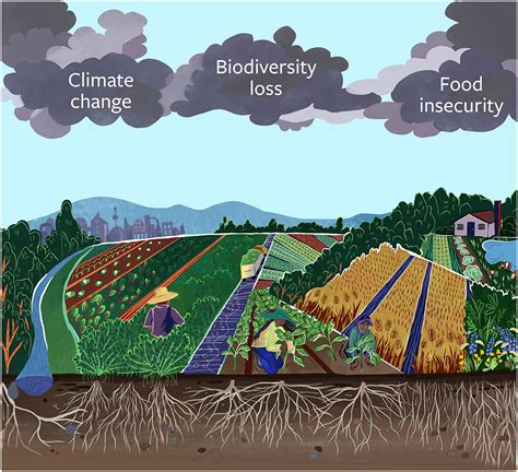 Influence in the Field and Local Community