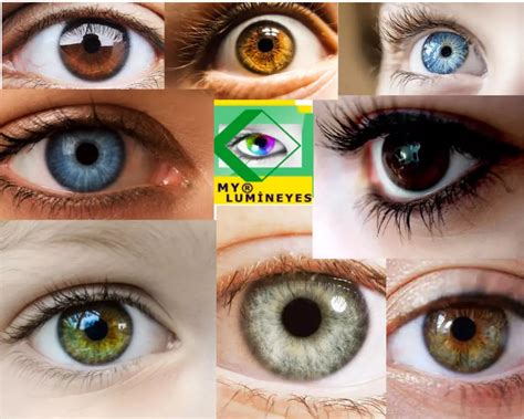 Influence of Eye Color on Life Experiences