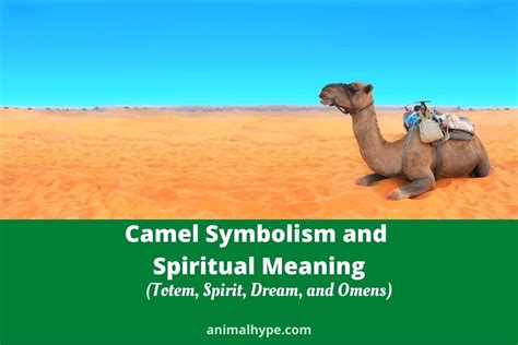 Inner Turmoil Revealed: The Symbolism of Camel Bites