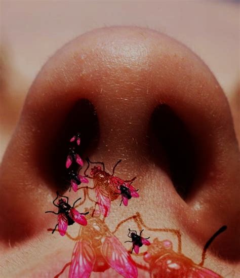 Insects Crawling in Nose: Uncovering Hidden Fears and Anxieties