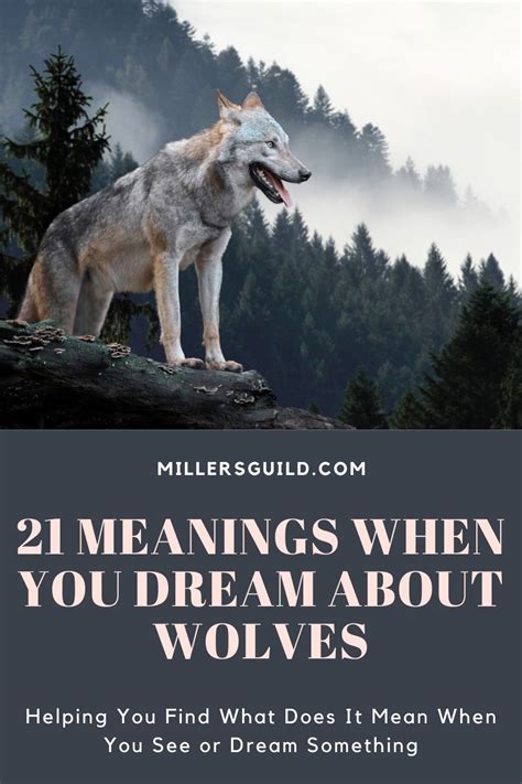 Inside the Realm of Dreams: When Wolves Become Companions