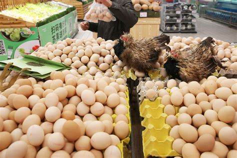 Insider Tips for Saving Money on Your Poultry Purchases