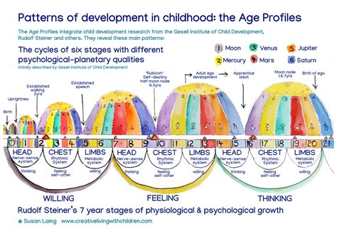 Insight into the life expectancy and development patterns