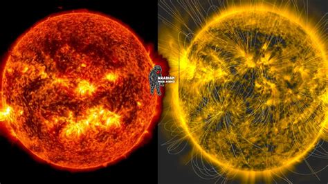 Insights about Sonya Enn's number of years on Earth