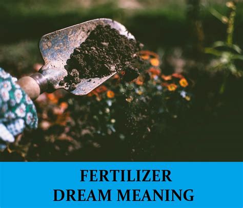 Insights for Analyzing and Comprehending Manure Dreams