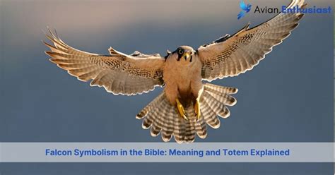 Insights for Deciphering and Comprehending Avian Birth Reveries