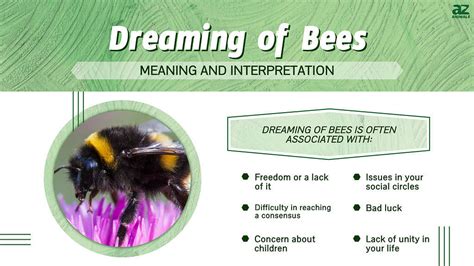 Insights from Psychology: Understanding the Meaning of Dreams Involving Deceased Bees