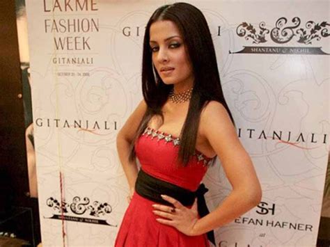 Insights into Celina Jaitly's Personal Life