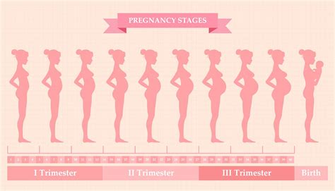 Insights into Past Relationships During the Journey of Pregnancy