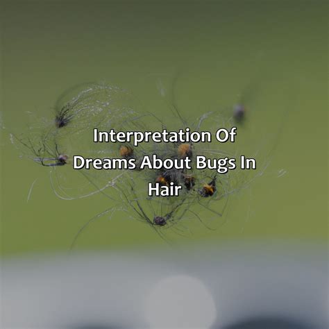 Insights into the Meaning and Interpretation of Creepy Crawlies in Nighttime Fantasies