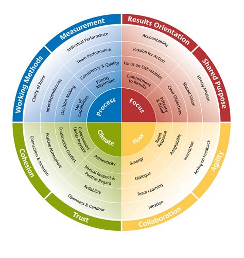 Insights into the Professional Journey of the Established Personality