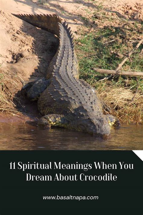 Insights into the Subconscious Mind: Unveiling the Symbolic Meaning of being Devoured by a Crocodile