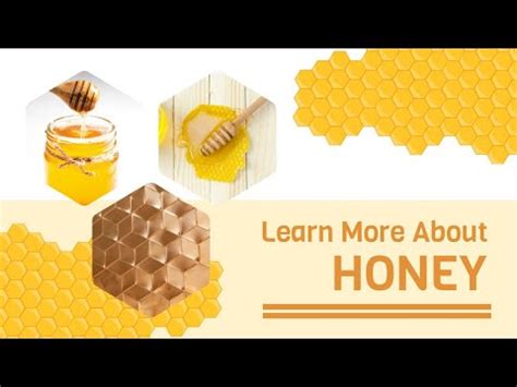 Interesting Facts About Honey Morimura