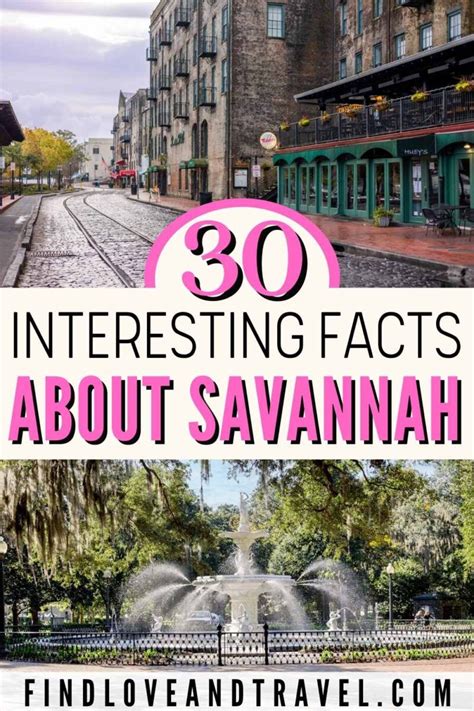 Interesting Facts about Savannah Rain