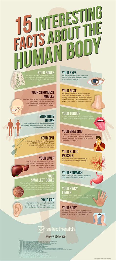 Interesting Facts about The Body Xxx