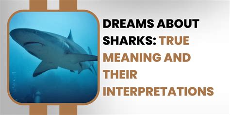 Interpretations of Shark Head Dreams in Various Cultural Perspectives