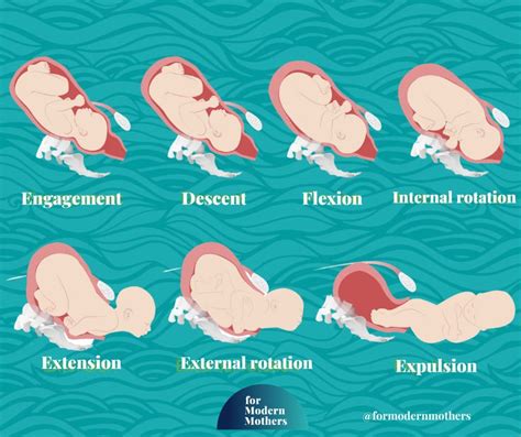 Interpreting Common Symbols Associated with Fetal Movement during Dreams