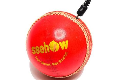 Interpreting Cricket Ball Dreams: Insights and Considerations