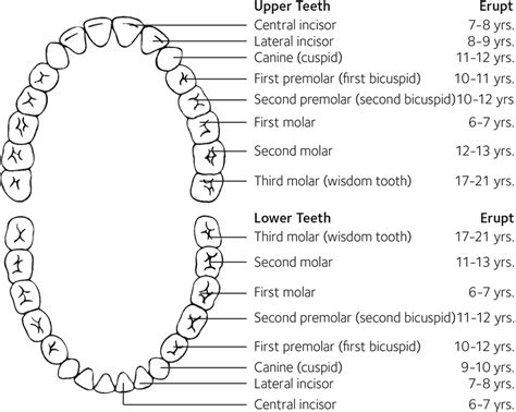 Interpreting Cultural Meanings Behind the Eruption of Insects from the Oral Cavity