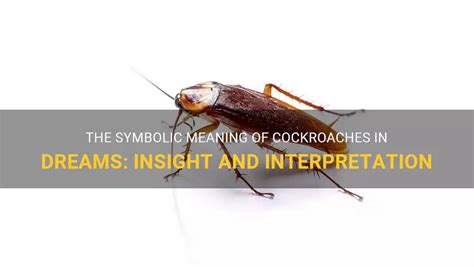 Interpreting Dreams of Squashing a Cockroach: Insights from Different Cultures