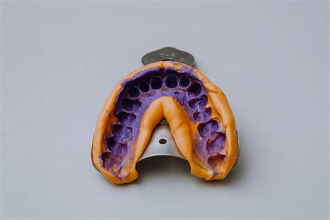 Interpreting Rodent Dental Impressions: A Psychological Perspective