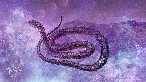 Interpreting Symbolism: The Mysterious Black Python Snake