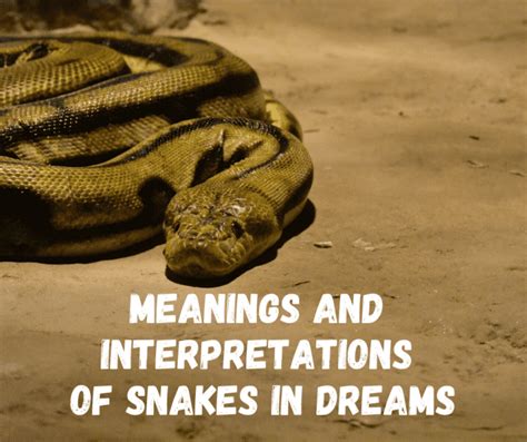 Interpreting the Meanings of Dreaming about a Domesticated Serpent