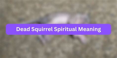 Interpreting the Psychological Significance: Decoding the Symbolism of Eliminating Squirrel