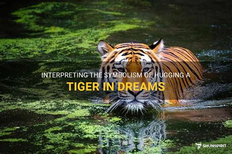 Interpreting the Psychological Significance of Tigers' Pursuit in Dreams