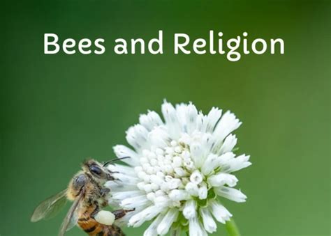 Interpreting the Symbolism: Decoding the Significance of Bees